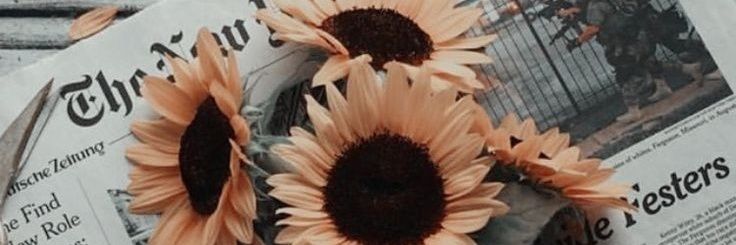 AvilaCami15's profile banner image