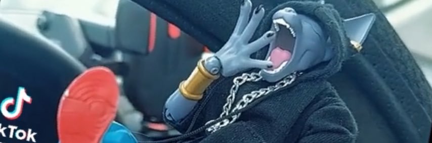 THATBIRDIF’KINHATE banner