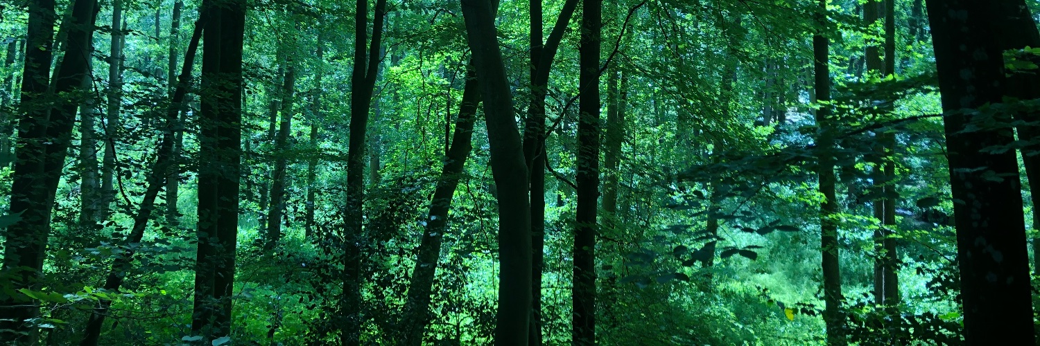 EmmaChandler1's profile banner image