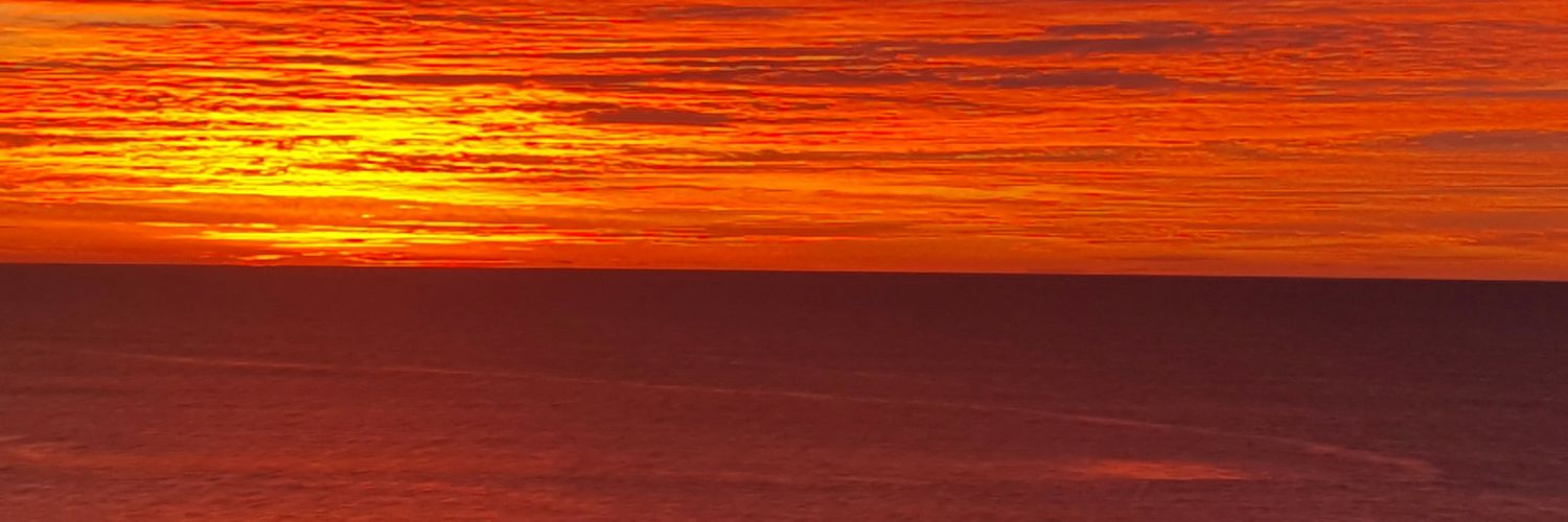 alexlisboausa's profile banner image