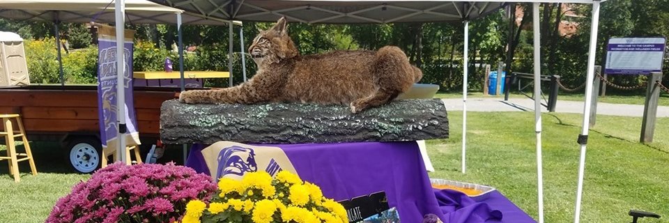 Catamount Fans banner