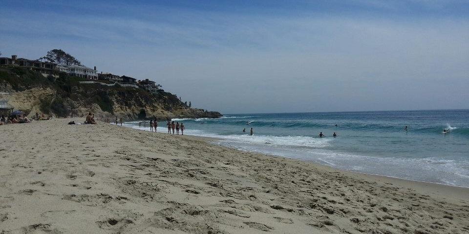 Daniel Feingold banner