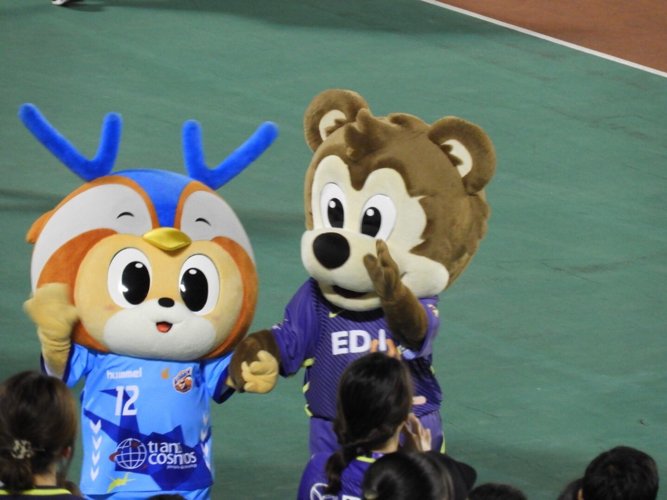 葵 banner