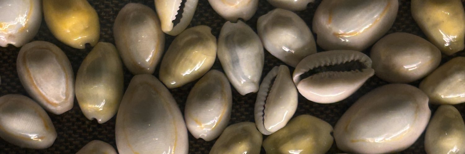 pammfc's profile banner image