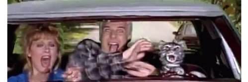 𝓐𝓭𝓭𝓲𝓼𝓸𝓷 banner