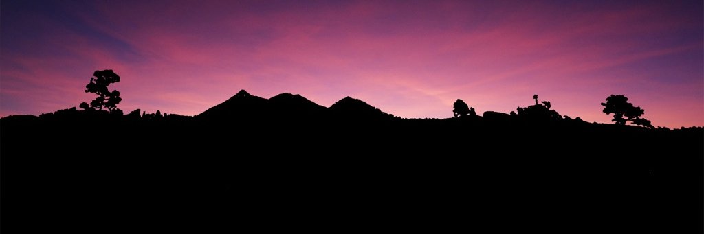 verosalvo's profile banner image
