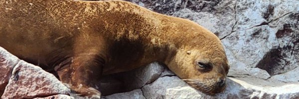 NathiGM3 Profile Banner