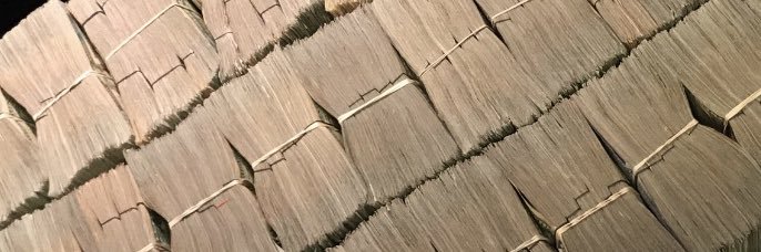 ecuasdog's profile banner image