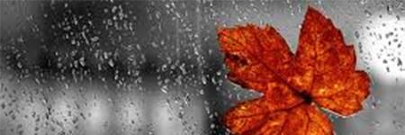 galuoi92's profile banner image