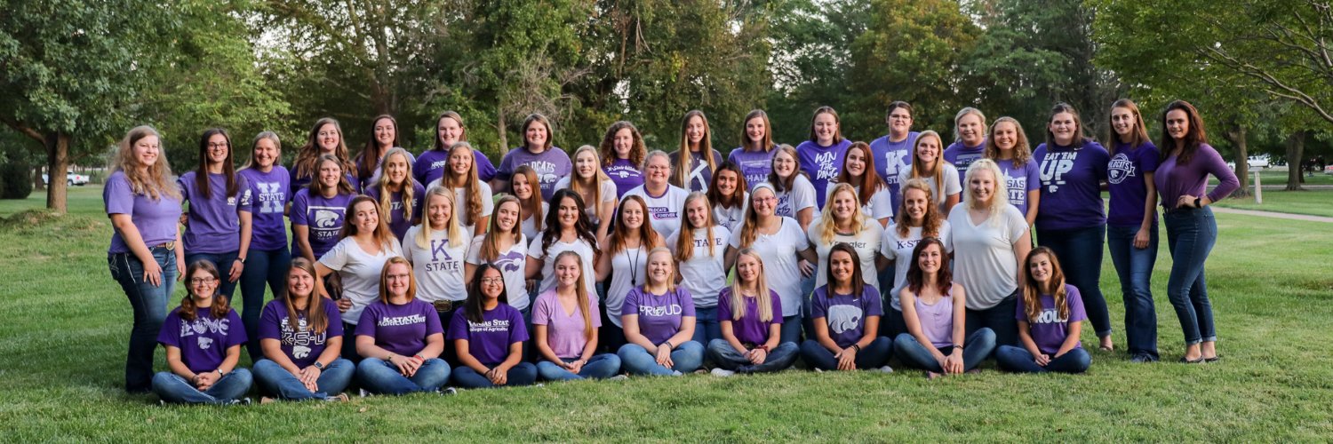 ksusigmaalpha's profile banner image
