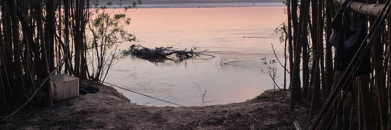 Ricardo Varas banner