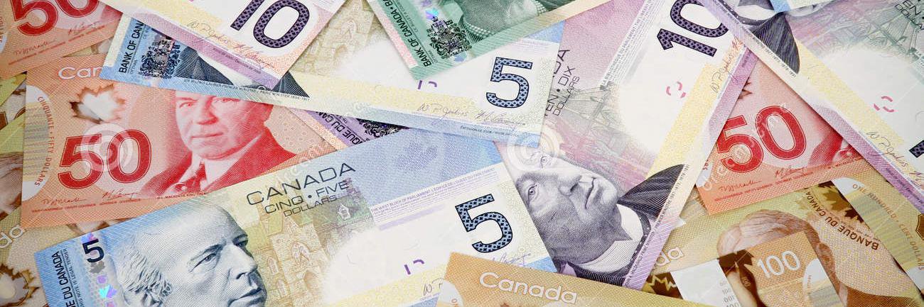 dividendwinner's profile banner image