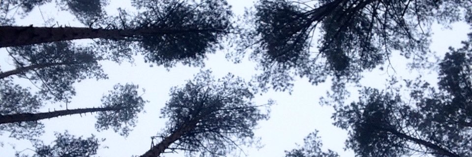 HaleyHeyYou's profile banner image
