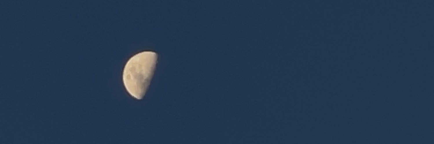 Lisa_zape's profile banner image