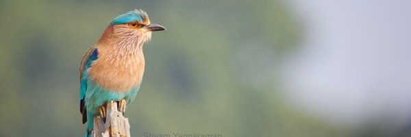 5ytix Profile Banner