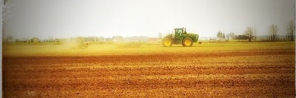 Wefeedu Profile Banner