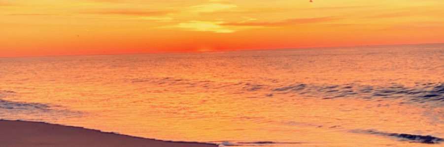 Selena_Danner's profile banner image