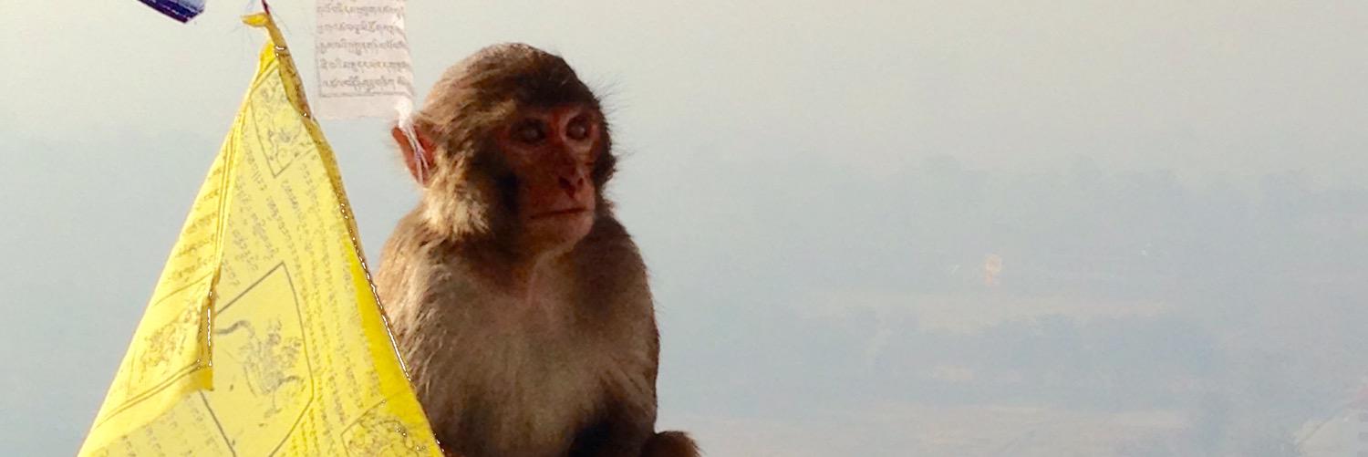 C'pher Gresham banner