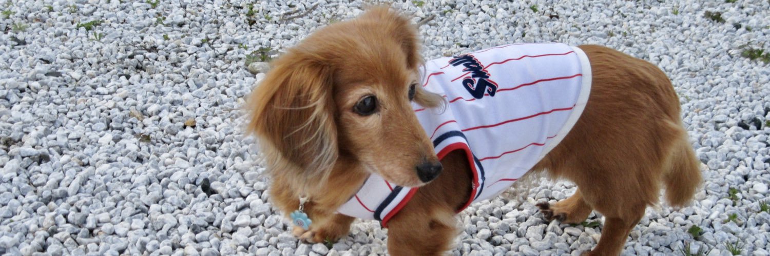 pippi10322's profile banner image