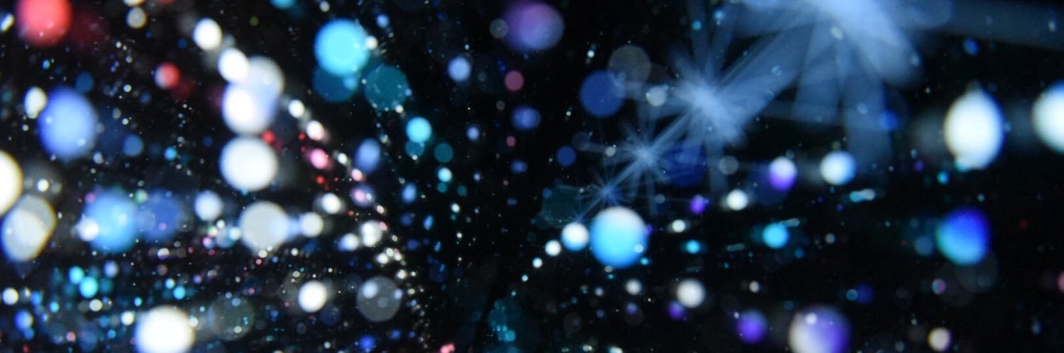 shuchizoph's profile banner image