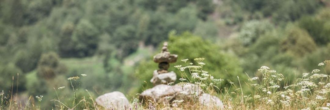 imbhupeender's profile banner image