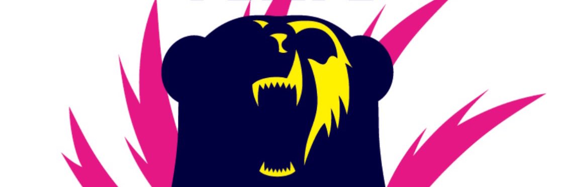 of_analyst's profile banner image
