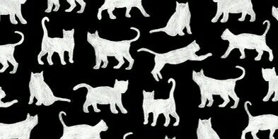 ANAVILLALOBOS_'s profile banner image