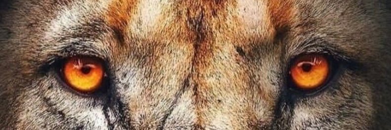AltanKarabay's profile banner image
