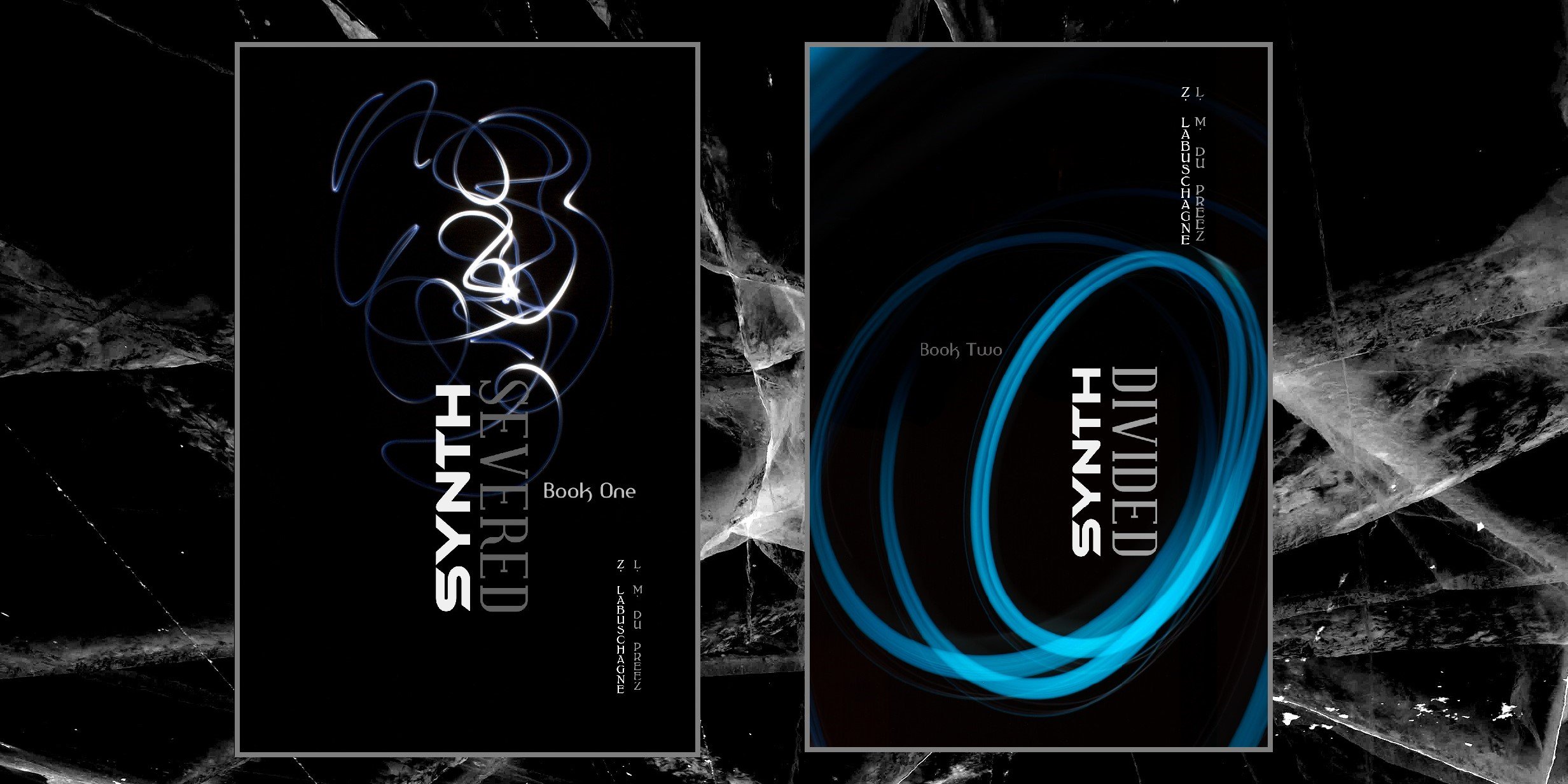 LZ_SYNTH's profile banner image