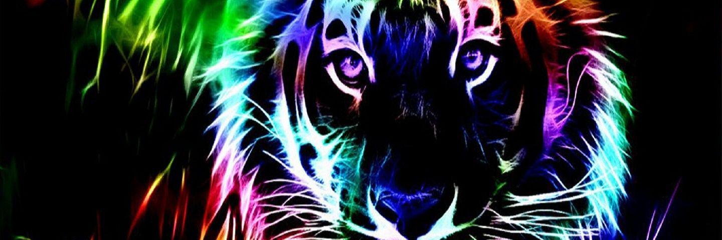 MirandaBunde's profile banner image