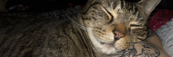 amnlx3 Profile Banner