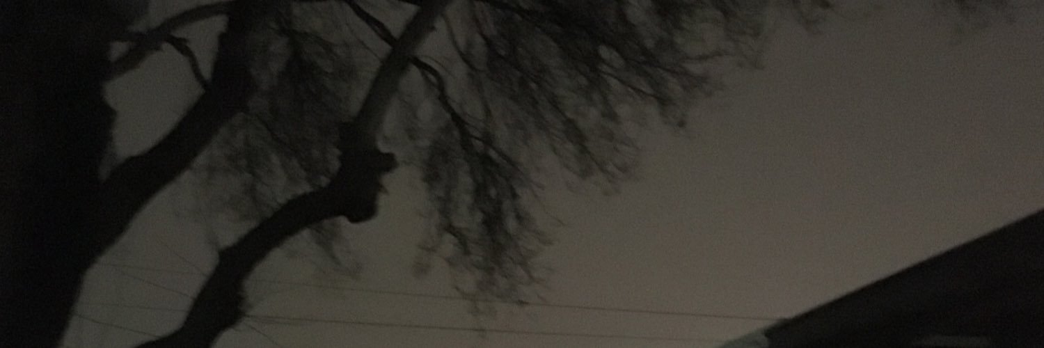 llamaolzanski's profile banner image
