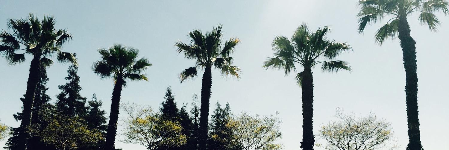 Florin Road Ptnrship banner