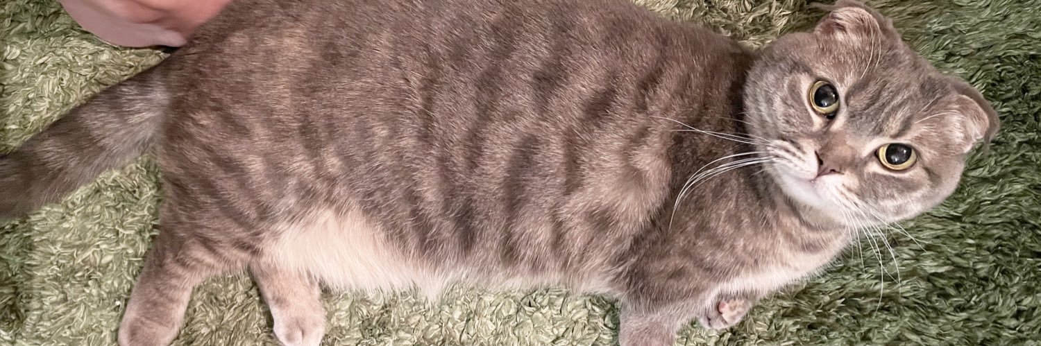 宮城紘大（こーだい） banner