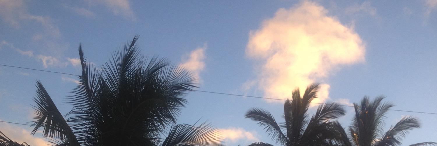 yellowether's profile banner image