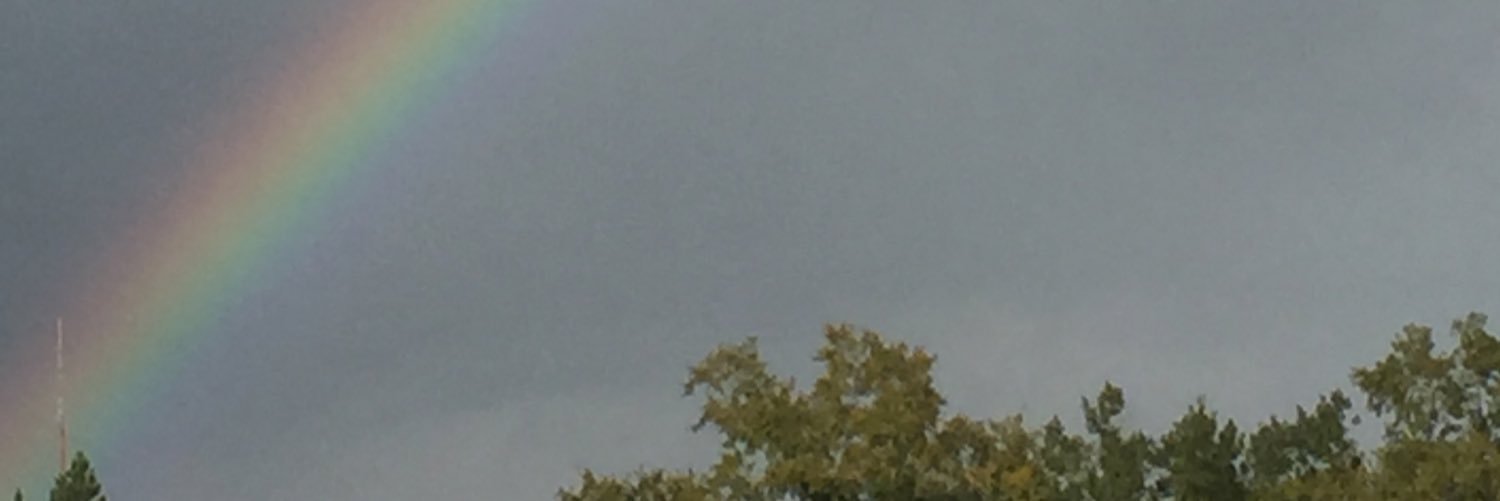 heflin_sandy's profile banner image