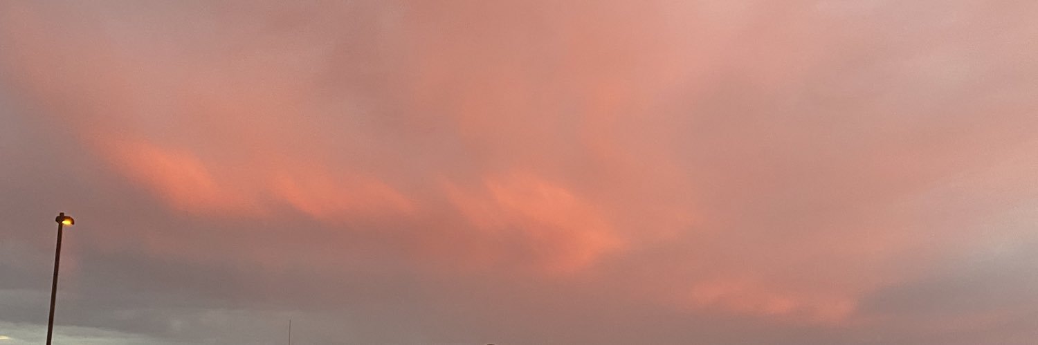 emaree_rose's profile banner image