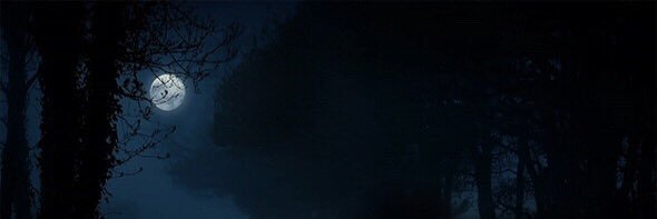 moneyayyy's profile banner image