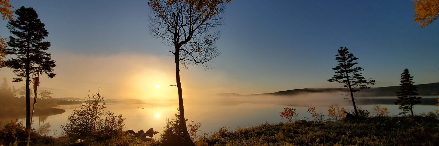 labradorkillick's profile banner image