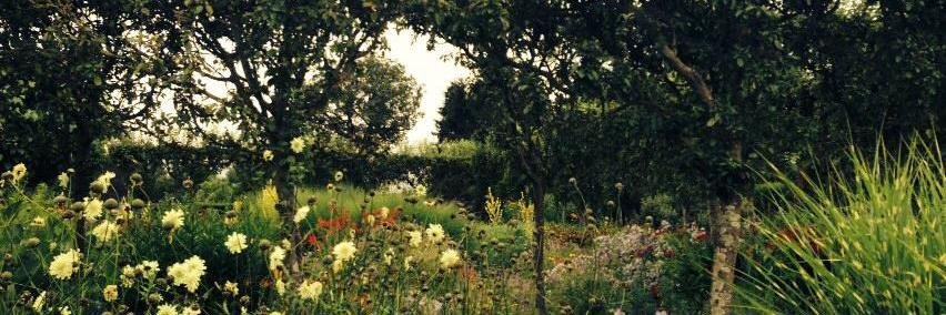 Charlotte Newman banner