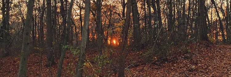 johnaiken23's profile banner image