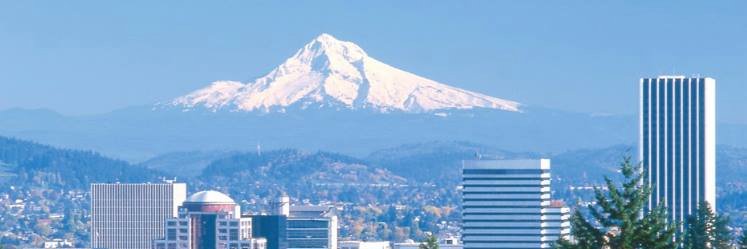 Peter Armstrong banner