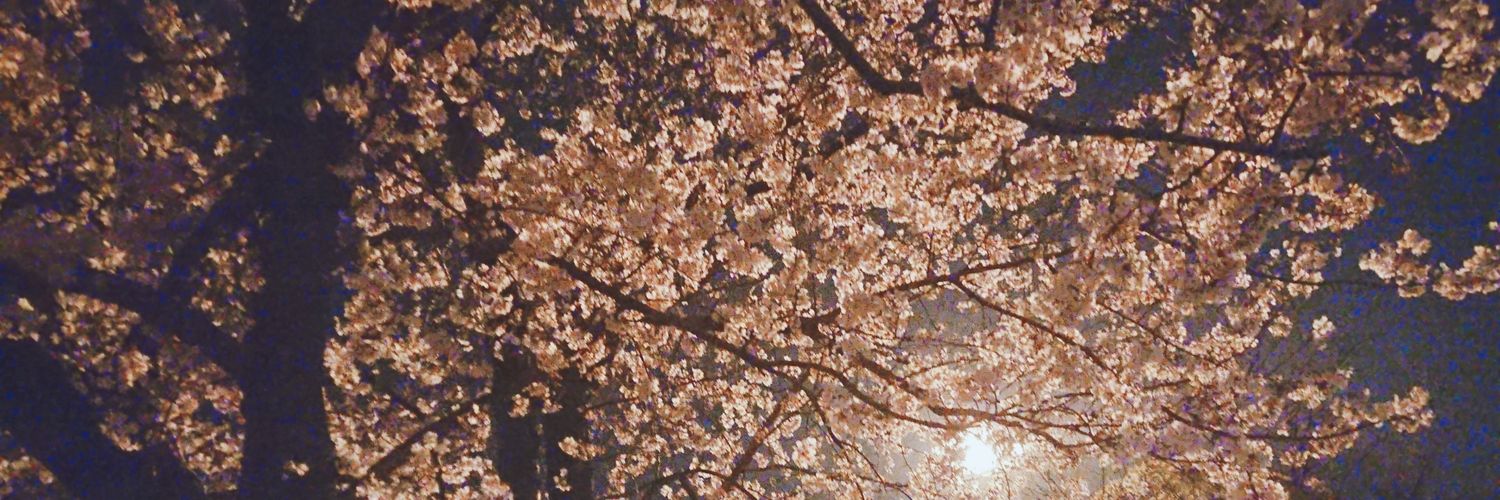 neverland0507's profile banner image
