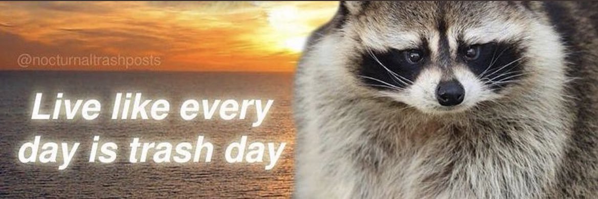 TrishaECook's profile banner image