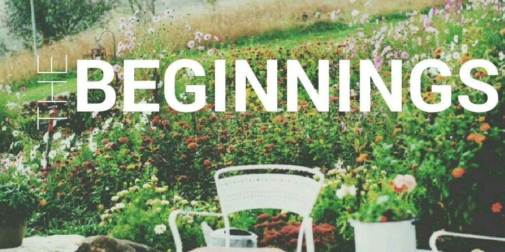 the_beginnings's profile banner image