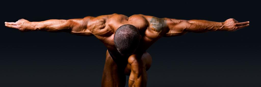 Gym Life banner