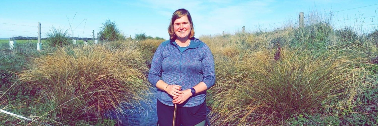 Dr Katie Collins banner