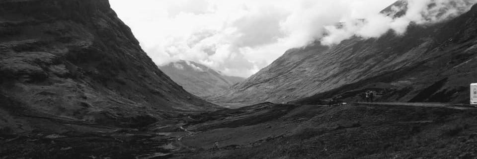 Alex Williams banner