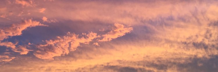 2zVv6's profile banner image