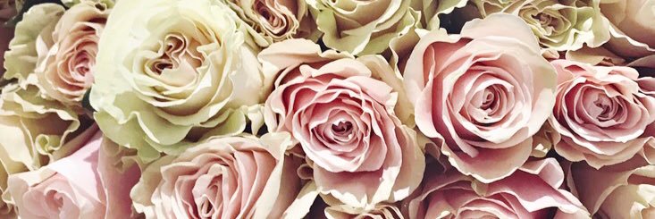 ali_papaa's profile banner image